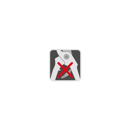 Promo Amboss-Scheren, RS-EN - 7210000WO