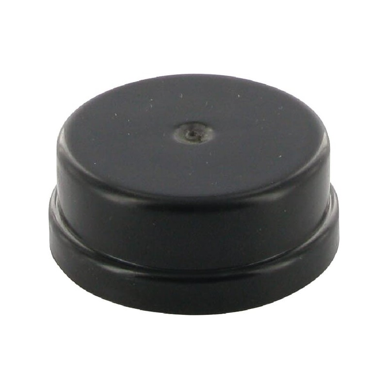 Hub cap - 7310484A