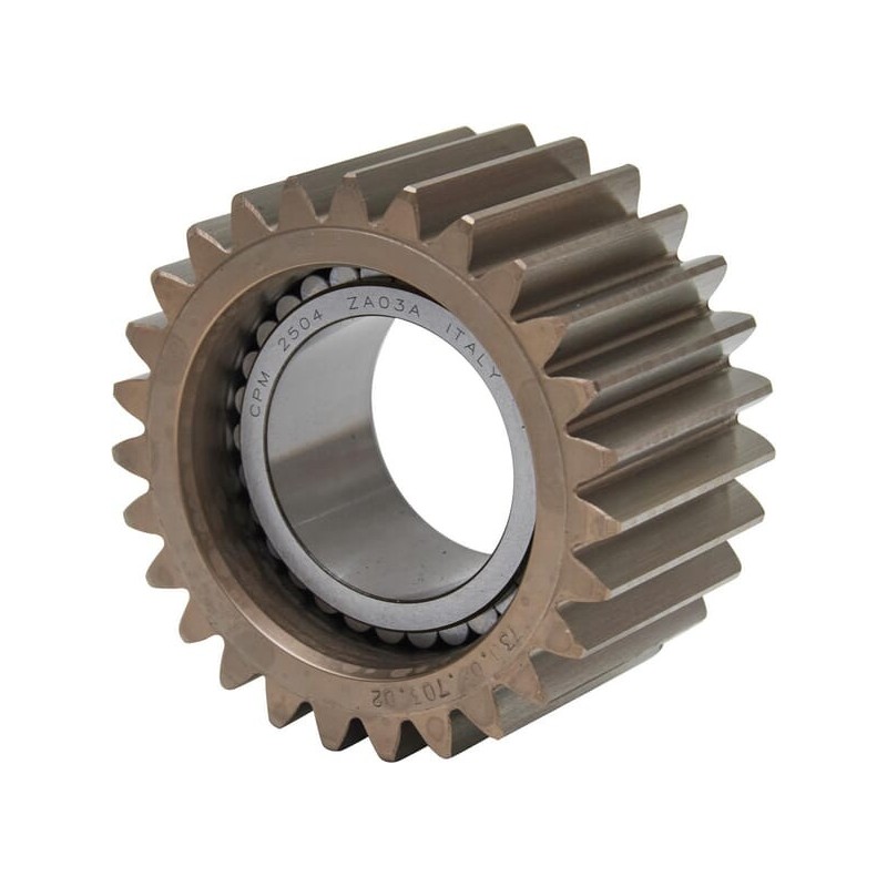 Differential Pinion - 7300670302 Differential Pinion - 7300670302
