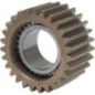 Differential Pinion - 7300670302 Differential Pinion - 7300670302