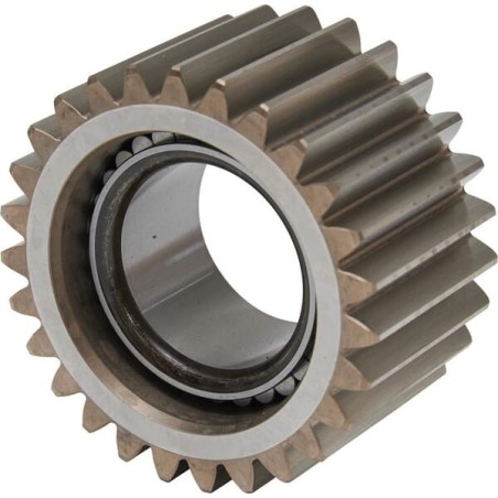 Differential Pinion - 7300670302