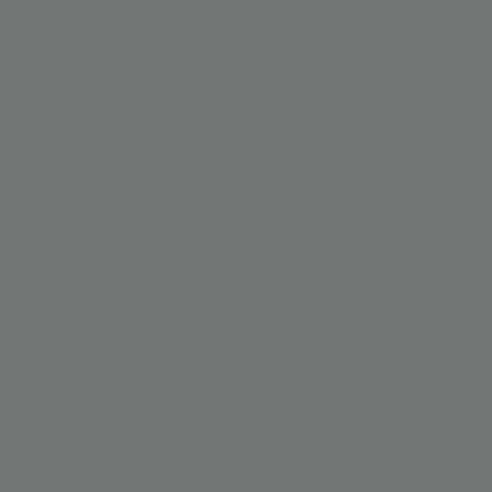 Ferguson grey vintage 1L - 737108KR