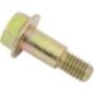 Screw - 73804079