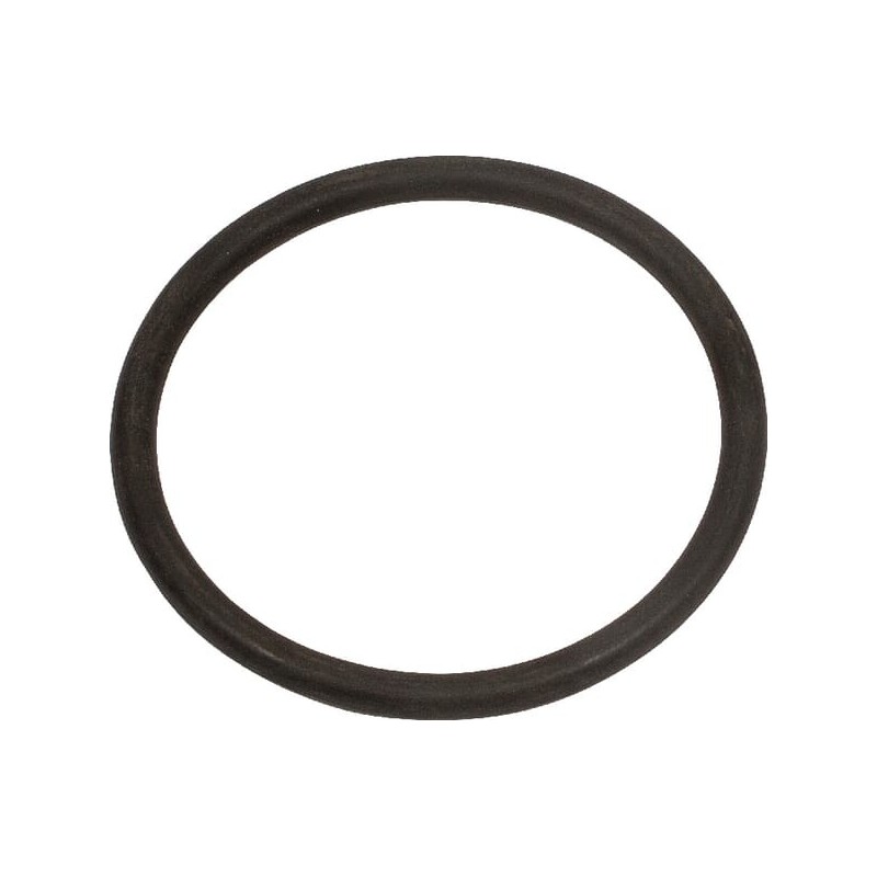 Pierścień oring - 74202071110 Pierścień oring - 74202071110