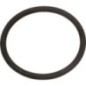 O-Ring - 74202071110 O-Ring - 74202071110