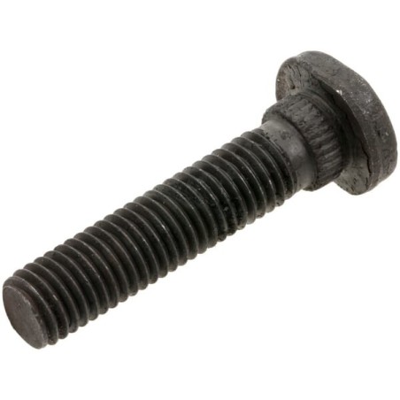 Screw M10x46 Dacromet - 745030790