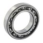 Roller bearing - 750116255