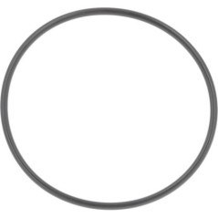 O-Ring - 75112772