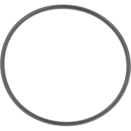 O-Ring - 75112772