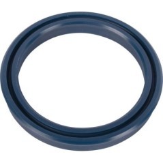 79065566N Unbranded, Seals 