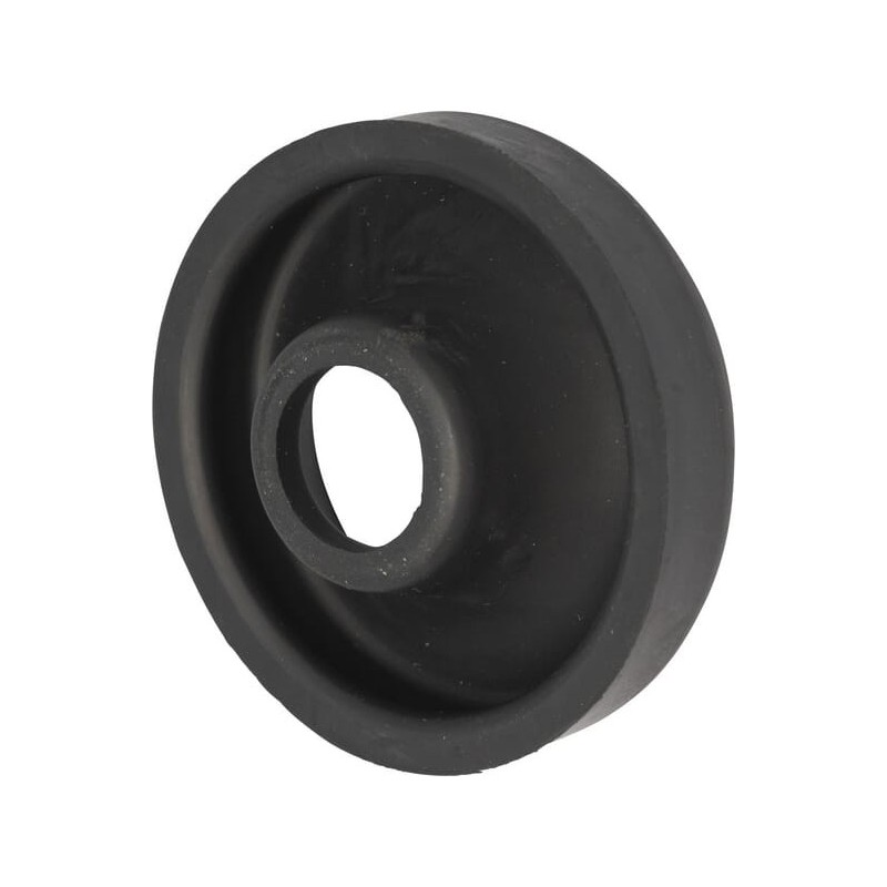 Dust seal - 786902R1N