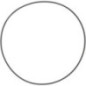 Ring, casing seal - 78112954003