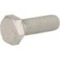 Śruba - 7703101069 Śruba - 7703101069