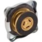 Cooler Plug - 76027863N