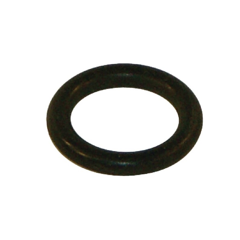 Dichtring - 76021 Dichtring - 76021
