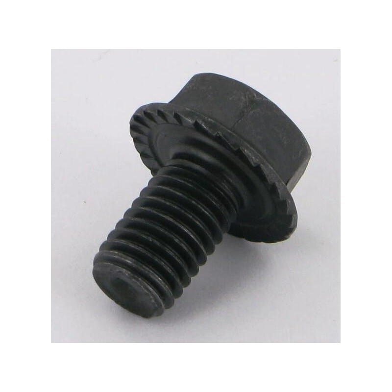 Bolt - 80131017N