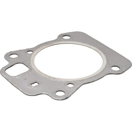 Gasket-cylinder head - 799275
