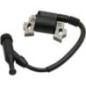 Ignition coil, Briggs Stratton - 797343WM Ignition coil, Briggs Stratton - 797343WM