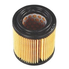 797427 Briggs & Stratton, Filter 