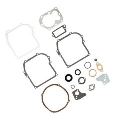 Gaskets – produkty dostępne w rolniczeczesci.pl