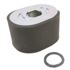 799818 Briggs & Stratton, Filter 
