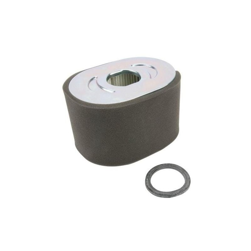 Air Cleaner Filter - 799818