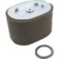 Air Cleaner Filter - 799818