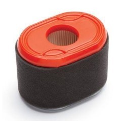 796970 Briggs & Stratton, Filter 