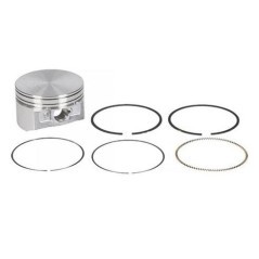 793647 Briggs & Stratton, Motorteile 