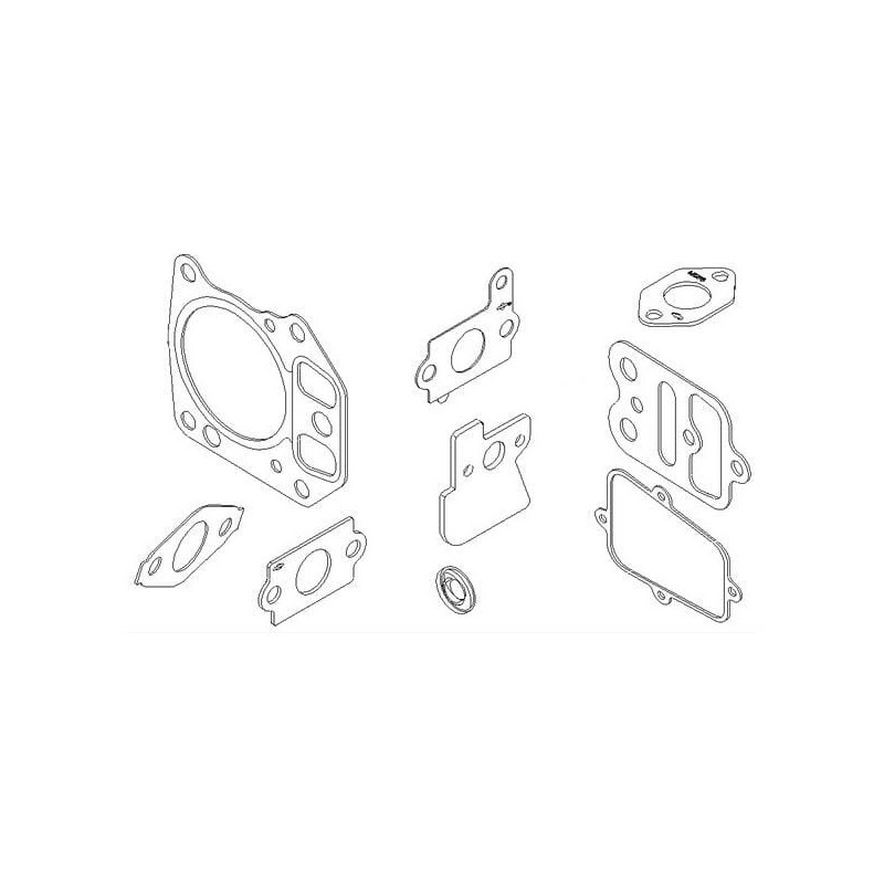 Gasket set - 795441