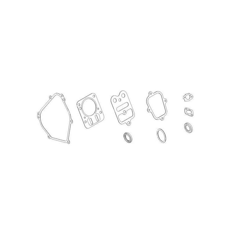 Gasket set - 798540