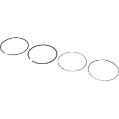 Motorteile – produkty dostępne w rolniczeczesci.pl