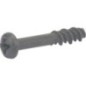 Screw - 799359