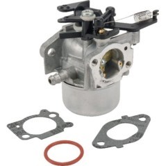 Carburettor - 799479