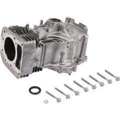 796010 Briggs & Stratton, Engine parts 