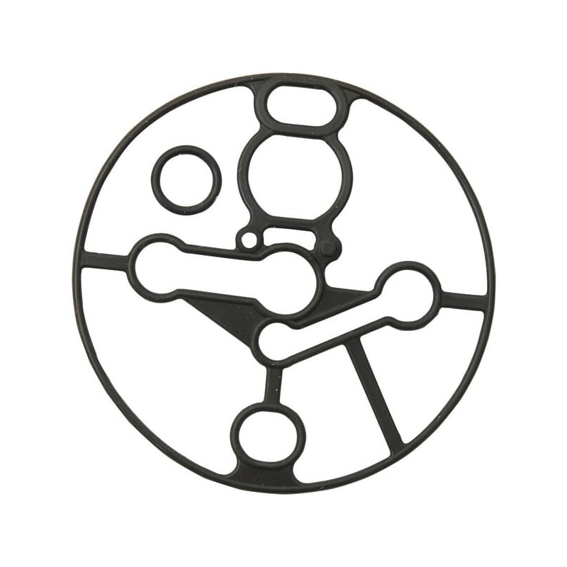 Gasket - 799991