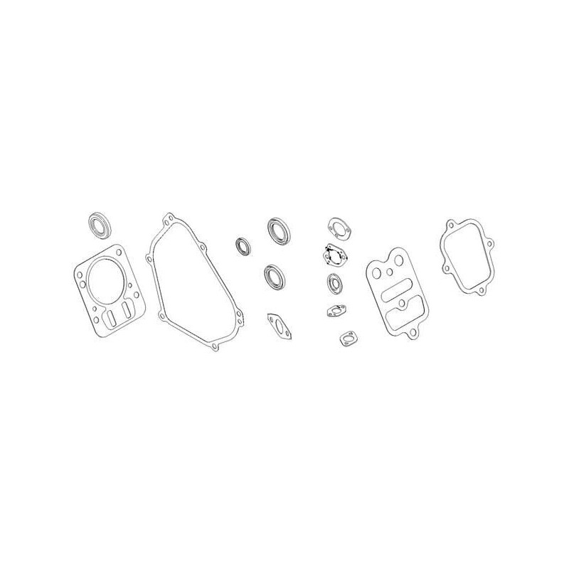 Gasket kit - 791797 Gasket kit - 791797