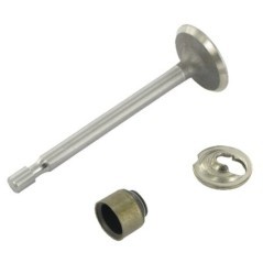 Intake valve - 795443
