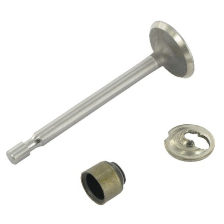 Intake valve - 795443