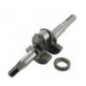 Crankshaft - 797072 Crankshaft - 797072