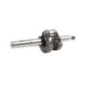 Crankshaft with bearings - 796468
