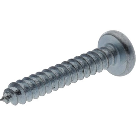 Self tapping screw torx 3.5x19mm - 7981C3519TX100