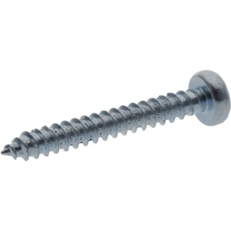 Self tapping screw torx 2.9x25mm - 7981C2925TX100