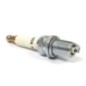 Spark plug - 797434