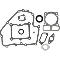 793623 Briggs & Stratton, Gaskets 