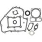 Gasket set - 793623