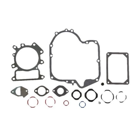 Gasket set - 796187
