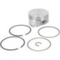 Piston assembly-020 - 793648 Piston assembly-020 - 793648