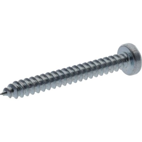 Self tapping screw torx 3.9x38mm - 7981C3938TX100
