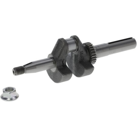 Crankshaft - 797075